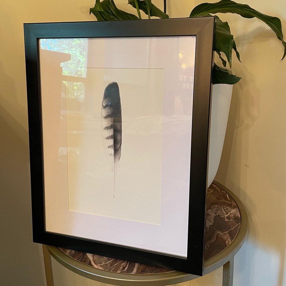 Black Feather Framed Wall Decor